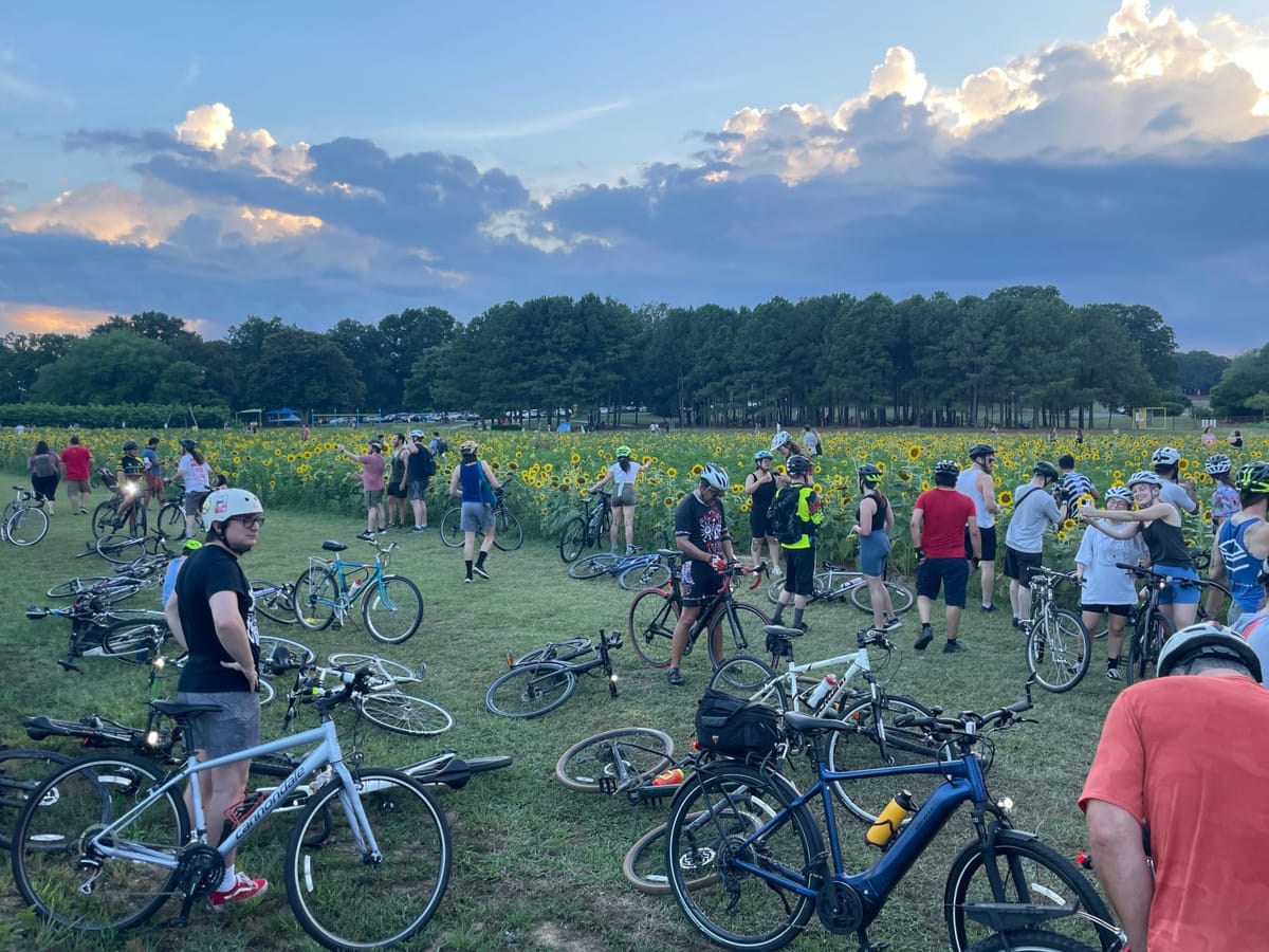 Sunflowers, Seeds, and Storms: An Unforgettable Bike Adventure